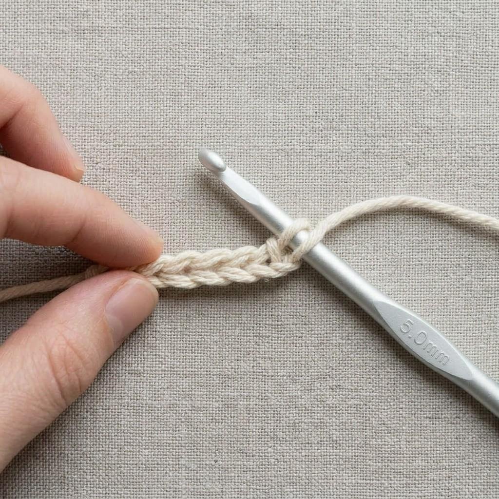 A crochet hook with one loop on it, ready to go into the second chain from the hook