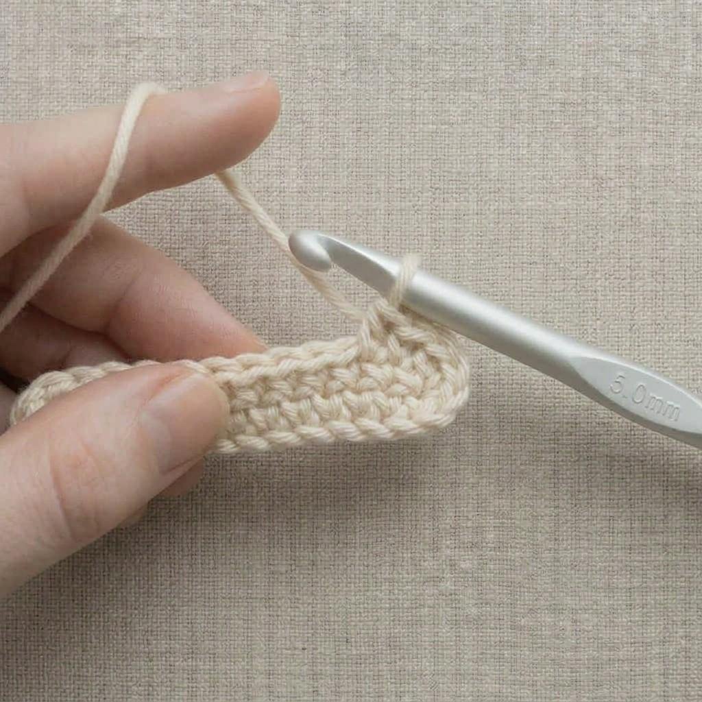 The hook above the first stitch of the row, ready to go under both loops of the V